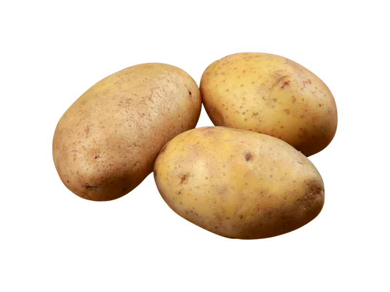 Photo de pommes de terre Agria gros calibre. Livraison de produits locaux aux restaurants