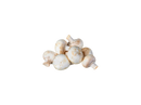 Image de champignons de paris. Livraison de produits locaux aux restaurants.