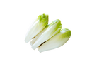 Photo d'endives. Livraison de produits locaux aux restaurants.
