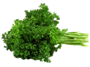 Photo d'une botte de persil frisé. Livraison aux restaurants.