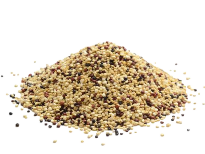 Photo de quinoa. Livraison produits locaux aux restaurateurs